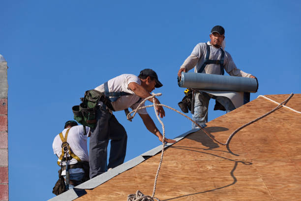Best Roof Gutter Cleaning  in Parsippany, NJ